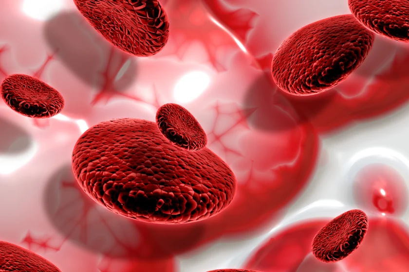 Understanding Blood Clotting Disorders