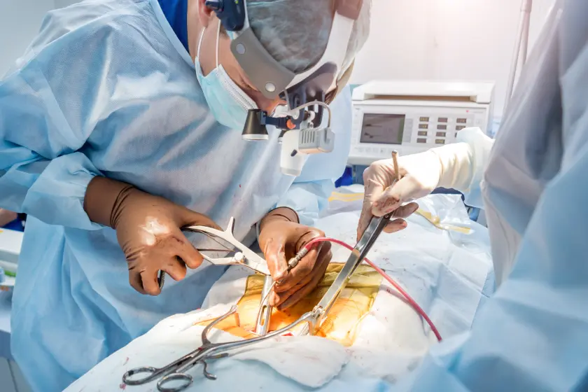 Explore the reasons for repeat endovascular treatment and how it improves outcomes in PAD, stroke care, DVT, and varicose vein management.